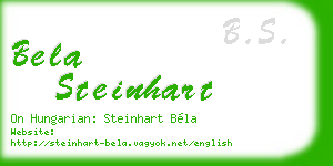 bela steinhart business card